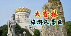 深夜乳液十八禁樱花中国浙江-绍兴大香林旅游风景区